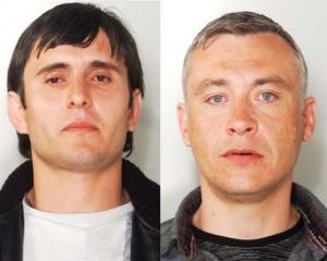 Aleksander Karlov, Andrei Zubkov