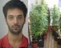 Andrea Digiglio e le piante di canapa sequestrate