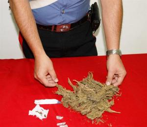 La marijuana