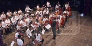 L'orchestra scolastica