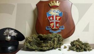 La droga sequestrata