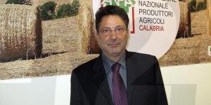 Giuseppe Mangone