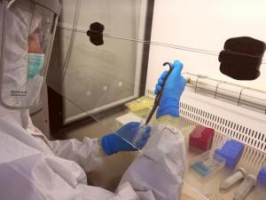 Fasi di estrazione delle molecole antiche presso l'aDNA Lab di Ravenna (Credit: archivio fotografico Laboratorio del DNA Antico - Università di Bologna)