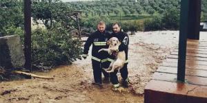 Il salvataggio di cane a San Pietro a Maida