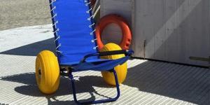 disabili