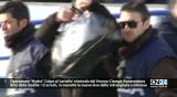 Crotone, operazione Hydra: colpo alle cosche Vrenna-Ciampà-Bonaventura.  12 arresti