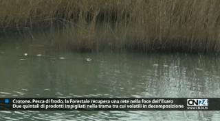 Crotone. Pesca di frodo, la Forestale recupera una rete nella foce dell’Esaro