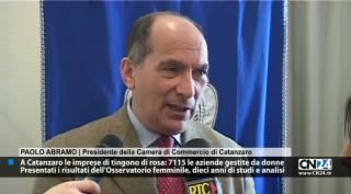 A Catanzaro le imprese di tingono di rosa: 7115 le aziende gestite da donne