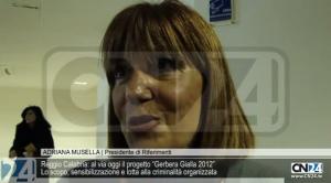 Reggio Calabria: al via oggi il progetto “Gerbera Gialla 2012”