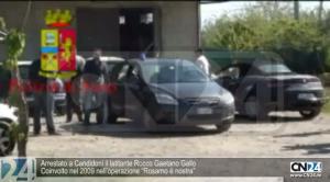 Arrestato a Rosarno il latitante Rocco Gaetano Gallo del clan Bellocco