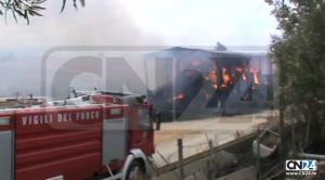 Vasto incendio a Papanice, fiamme devastano azienda agrituristica