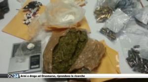 Armi e droga ad Orsomarso, riprendono le ricerche