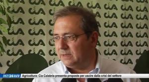 Agricoltura: Cia Calabria presenta proposte per uscire dalla crisi del settore