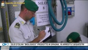 Olio d’oliva “biologico” venduto in Calabria ma prodotto in Spagna, 16 arresti e sequestri