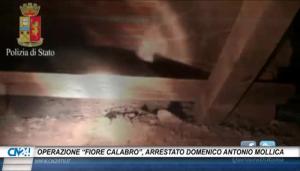 Operazione “Fiore Calabro”, arrestato Domenico Antonio Mollica