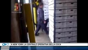 A New York la centrale operativa della coca, maxi operazione internazionale: 17 arresti