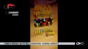 Armi e droga, blitz nel cosentino: diversi arresti