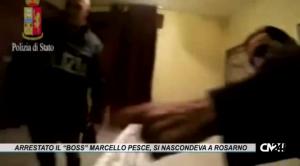 Arrestato il “boss” Marcello Pesce, il latitante si nascondeva a Rosarno