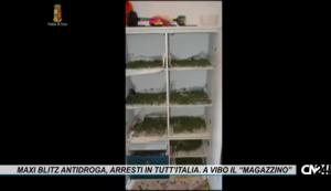 Maxi blitz antidroga, sequestri e arresti in tutt’Italia. A Vibo il “magazzino”