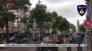 Cosca Bellocco: latitante arrestato in Olanda oggi estradato in Italia