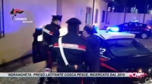 ‘Ndrangheta: preso latitante della cosca Pesce, era ricercato dal 2015