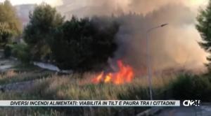 Diversi incendi alimentati dal vento a Crotone: viabilità in tilt e paura tra i cittadini
