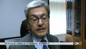 “Scacco al cavallo” a Cosenza: 16 arresti per furti di auto, ricettazione ed estorsione