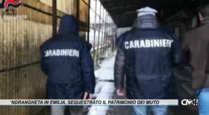 ‘Ndrangheta in Emilia. Prestanome e “cartiere” per schermare le aziende, sequestrato il patrimonio dei Muto