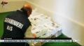Controlli di Natale. I Nas sequestrano 1700 finti panettoni artigianali e dieci tonnellate di dolci e pescato